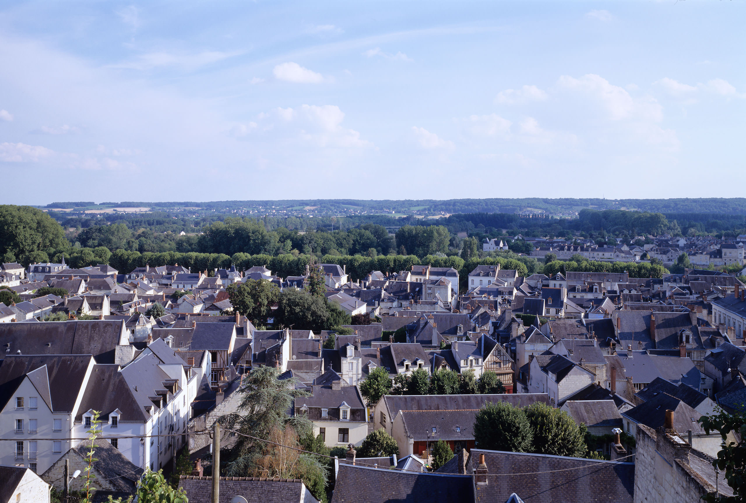 Librairie Les Compagnons du Reve, Chinon